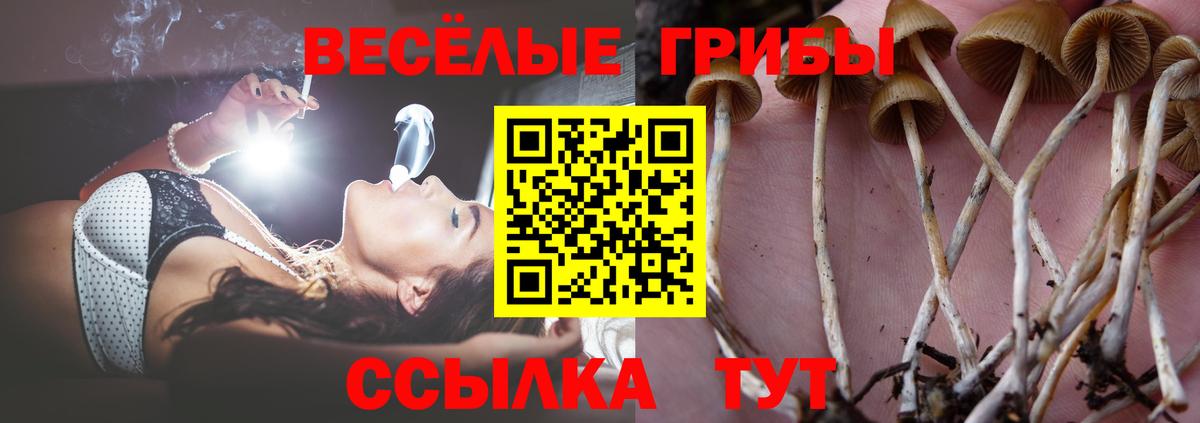 Галлюциногенные грибы прущие грибы  Вход с VPN  Елизово 